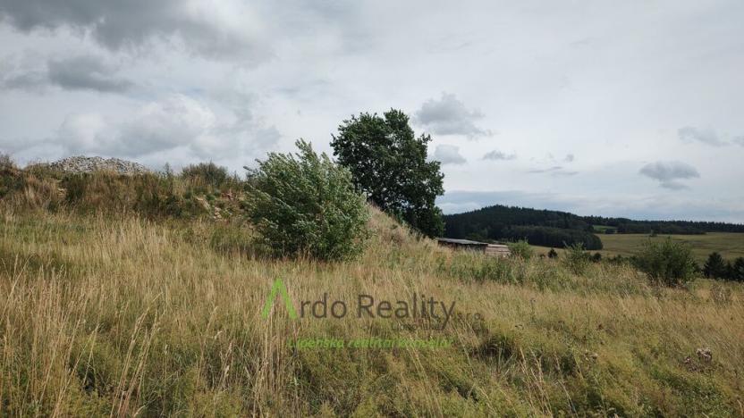 Prodej pozemku pro bydlení, Horní Planá, Nad Hřištěm, 690 m2