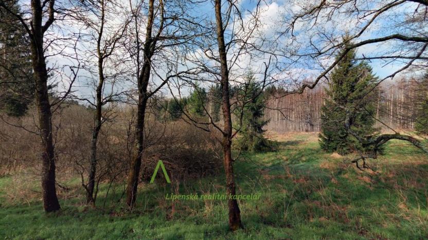 Prodej pozemku, Přední Výtoň, 13889 m2