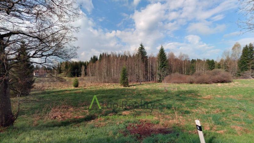 Prodej pozemku, Přední Výtoň, 13889 m2