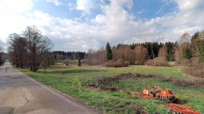 Prodej pozemku, Přední Výtoň, 13889 m2