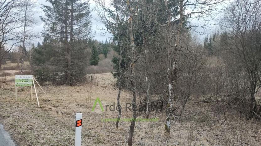 Prodej pozemku, Přední Výtoň, 13889 m2