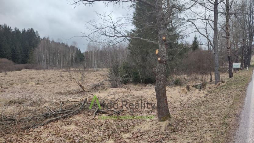 Prodej pozemku, Přední Výtoň, 13889 m2