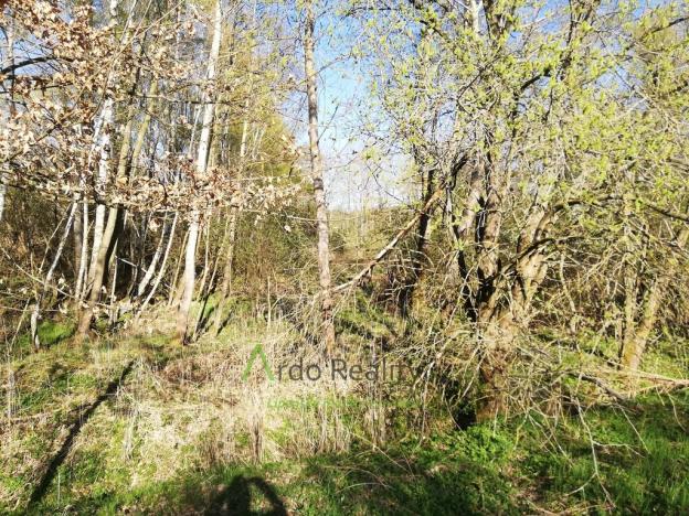 Prodej pozemku pro bydlení, Benešov nad Černou - Hartunkov, 5446 m2