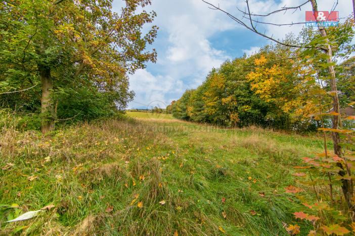 Prodej pozemku pro bydlení, Kraslice, 1078 m2