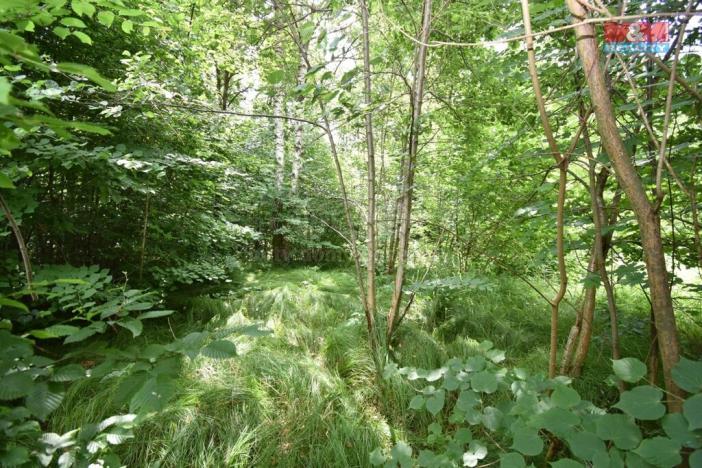 Prodej pozemku pro bydlení, Višňová, 4501 m2