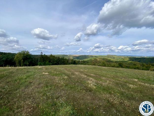 Prodej pozemku pro bydlení, Javůrek, 1500 m2