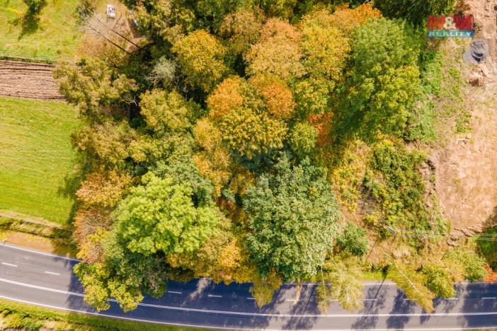 Prodej pozemku pro bydlení, Kynšperk nad Ohří, 1944 m2