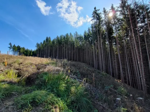 Prodej lesa, Žďár, 233155 m2