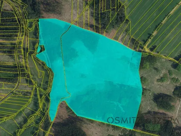 Prodej lesa, Žďár, 233155 m2