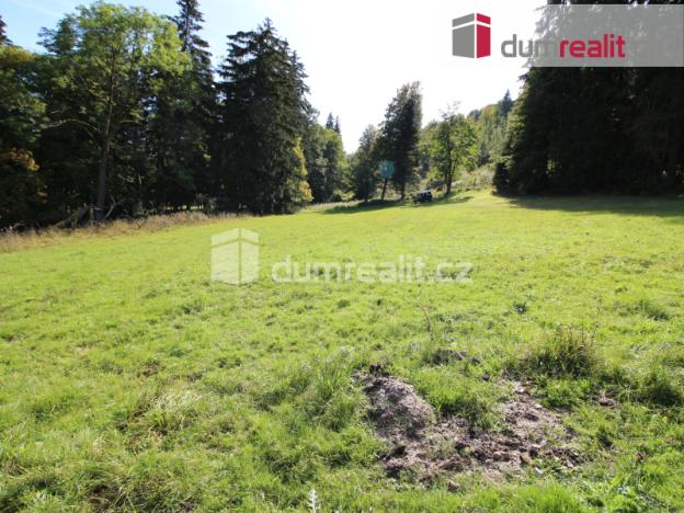 Prodej pozemku pro bydlení, Merklín - Pstruží, 4233 m2