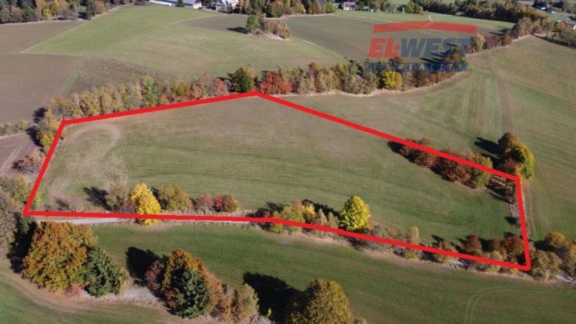 Prodej trvalého travního porostu, Stachy, 15932 m2