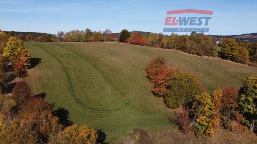 Prodej trvalého travního porostu, Stachy, 15932 m2