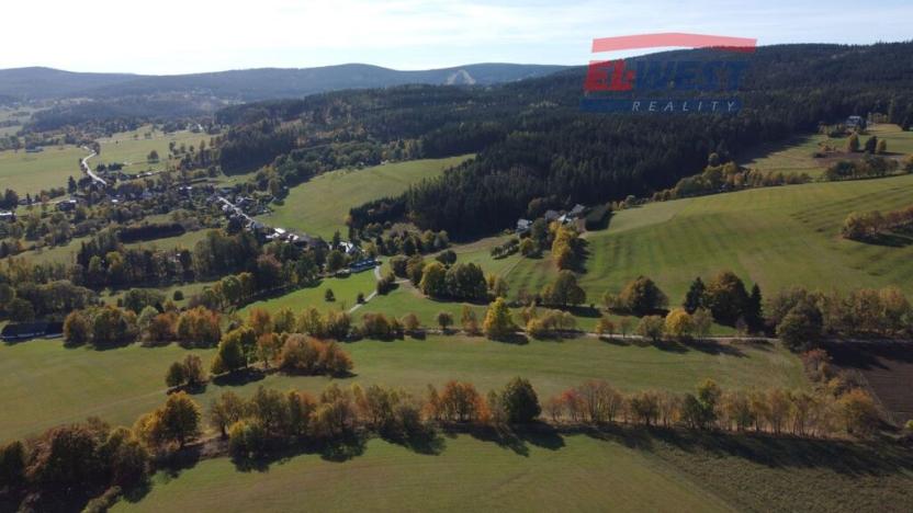 Prodej trvalého travního porostu, Stachy, 15932 m2