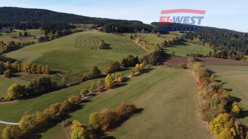 Prodej trvalého travního porostu, Stachy, 15932 m2