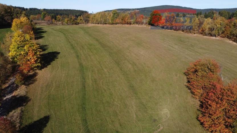 Prodej trvalého travního porostu, Stachy, 15932 m2