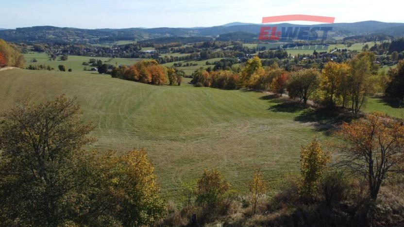 Prodej trvalého travního porostu, Stachy, 15932 m2