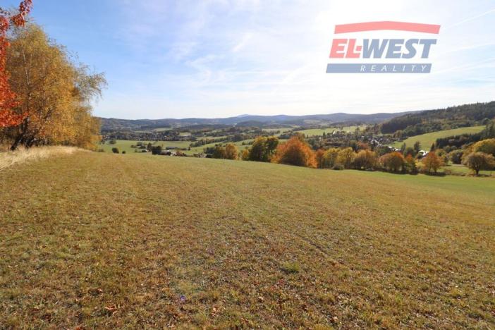 Prodej trvalého travního porostu, Stachy, 15932 m2