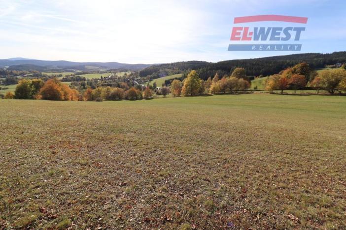 Prodej trvalého travního porostu, Stachy, 15932 m2