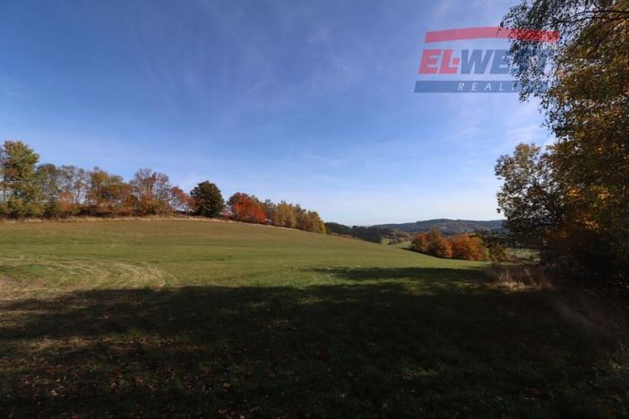 Prodej trvalého travního porostu, Stachy, 15932 m2