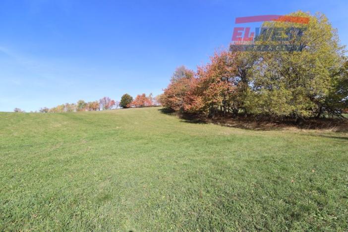 Prodej trvalého travního porostu, Stachy, 15932 m2