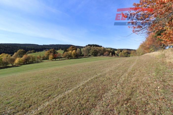 Prodej trvalého travního porostu, Stachy, 15932 m2