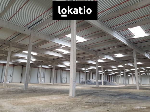 Pronájem skladu, Mošnov, 10217 m2