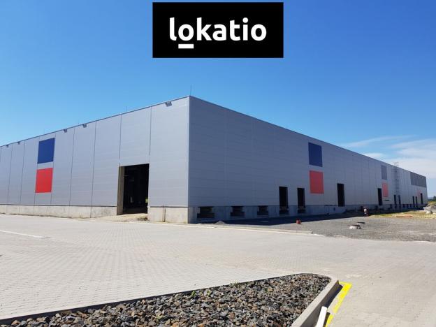 Pronájem skladu, Mošnov, 10217 m2