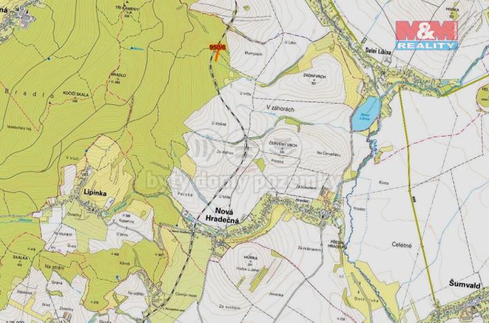 Prodej lesa, Nová Hradečná, 5346 m2