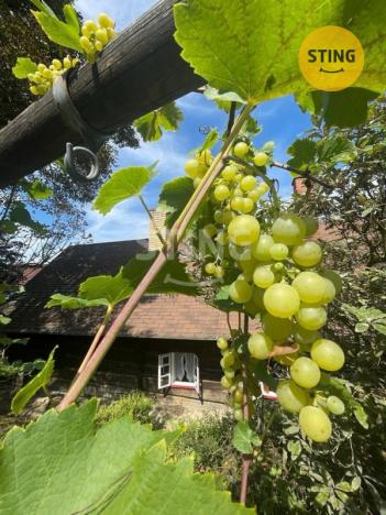 Prodej rodinného domu, Bystřička, 140 m2