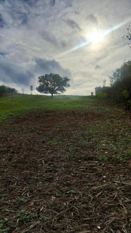 Prodej zahrady, Sivice, 1458 m2