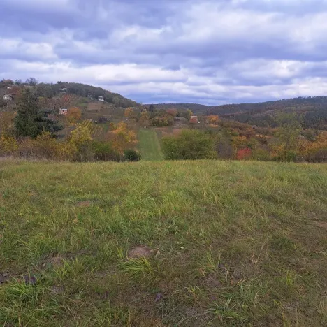 Prodej zahrady, Sivice, 1458 m2