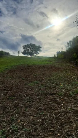 Prodej zahrady, Sivice, 1458 m2