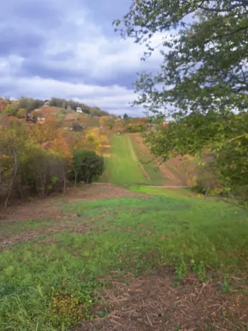 Prodej zahrady, Sivice, 1458 m2