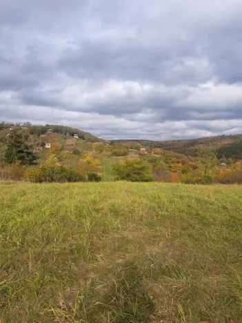 Prodej zahrady, Sivice, 1458 m2