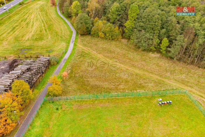 Prodej trvalého travního porostu, Cvikov - Drnovec, 3023 m2
