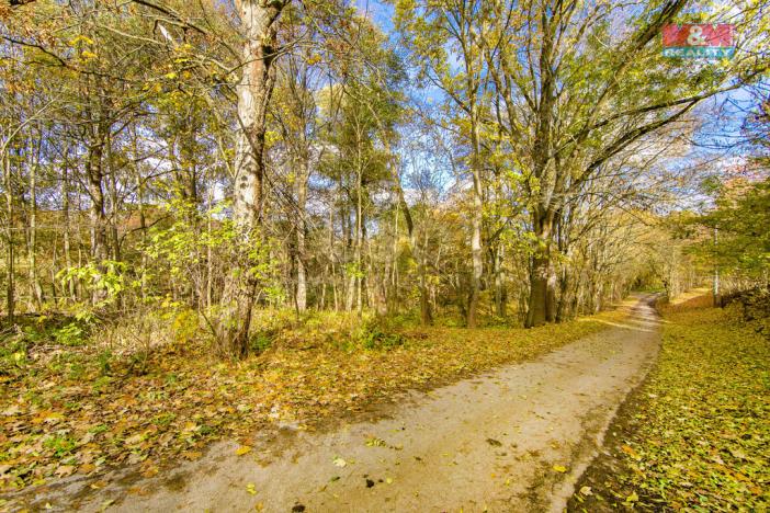 Prodej louky, Konstantinovy Lázně - Dlouhé Hradiště, 3120 m2