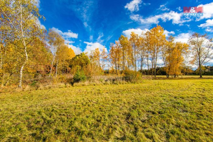 Prodej trvalého travního porostu, Krsy, 1072 m2