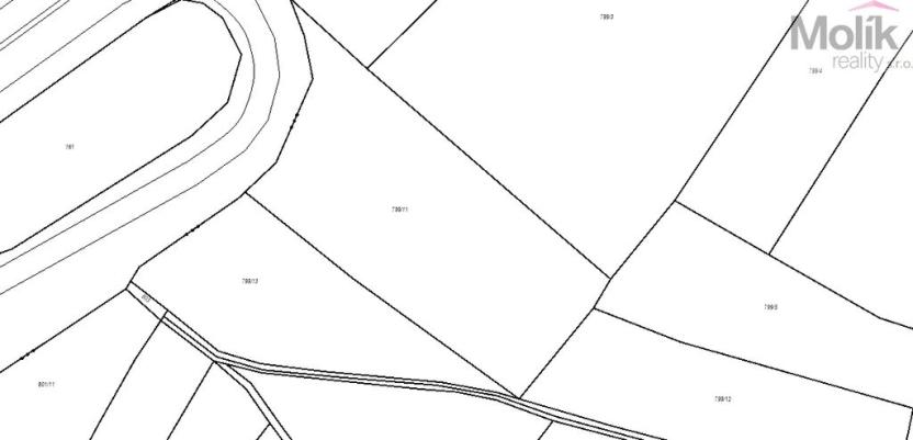 Prodej zemědělské půdy, Nepřevázka, 7766 m2