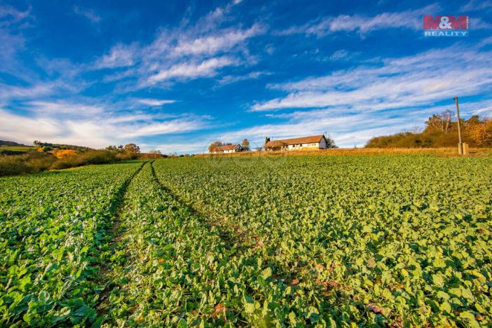 Prodej trvalého travního porostu, Mladotice, 3850 m2