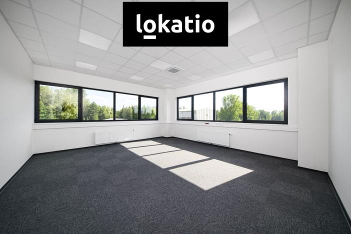 Pronájem skladu, Příšovice, 4858 m2