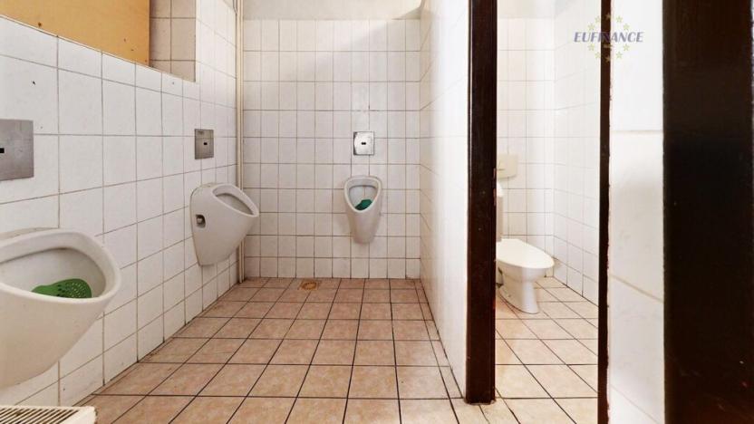 Prodej obchodního prostoru, Kralupy nad Vltavou, Hostivítova, 485 m2