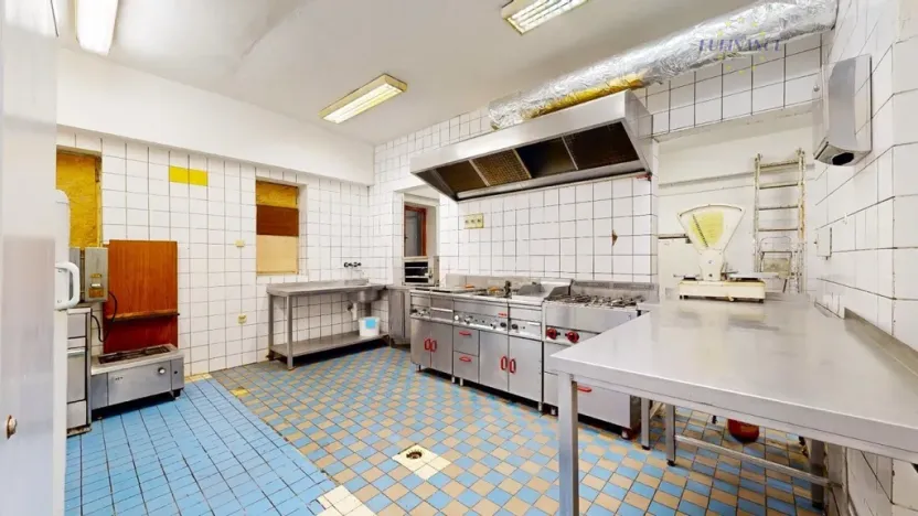 Prodej obchodního prostoru, Kralupy nad Vltavou, Hostivítova, 485 m2