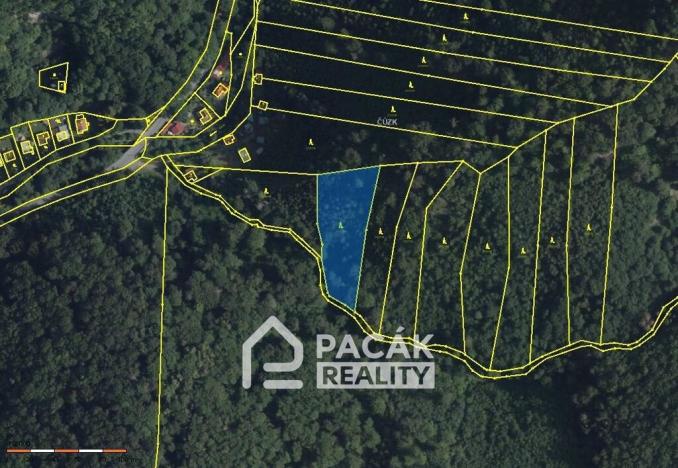 Prodej lesa, Dolany, 41845 m2