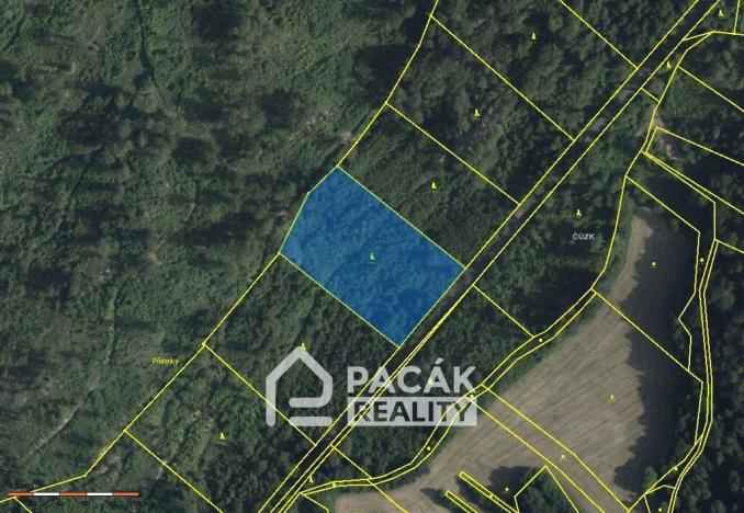 Prodej lesa, Dolany, 41845 m2