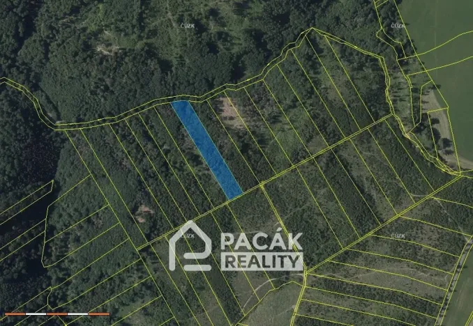 Prodej lesa, Dolany, 41845 m2