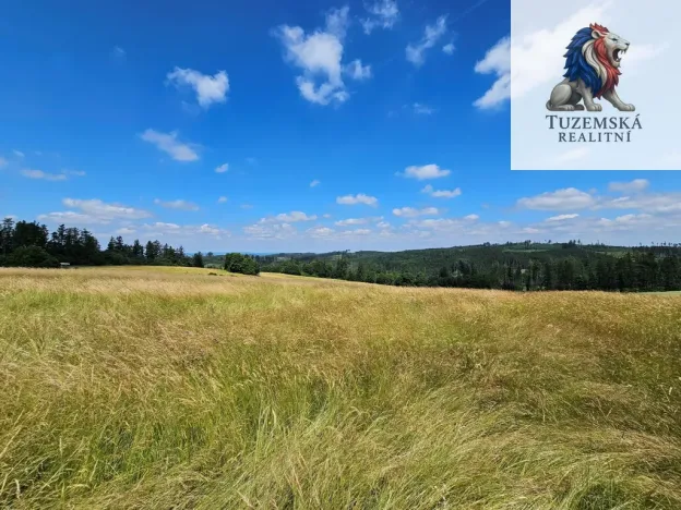 Prodej pozemku pro bydlení, Kořenec, 119009 m2
