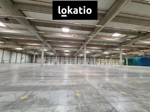 Pronájem skladu, Bor, 32698 m2