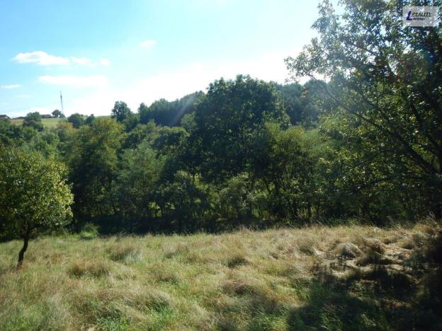 Prodej pozemku pro bydlení, Sedlčany - Sestrouň, 4736 m2