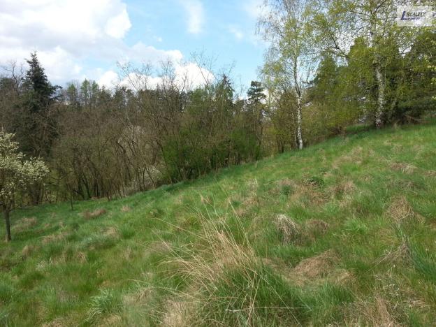 Prodej pozemku pro bydlení, Sedlčany - Sestrouň, 4736 m2