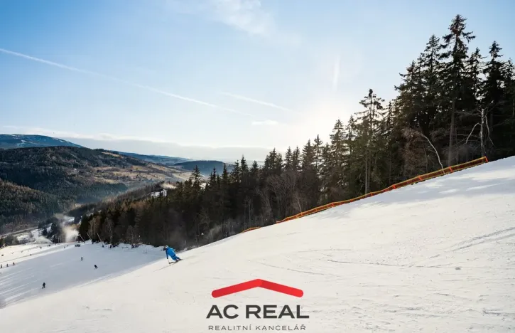 Prodej bytu 4+kk, Vrchlabí - Hořejší Vrchlabí, Horská, 99 m2